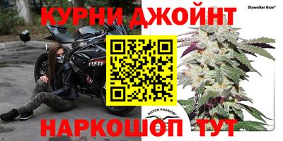 гидропоника Гай