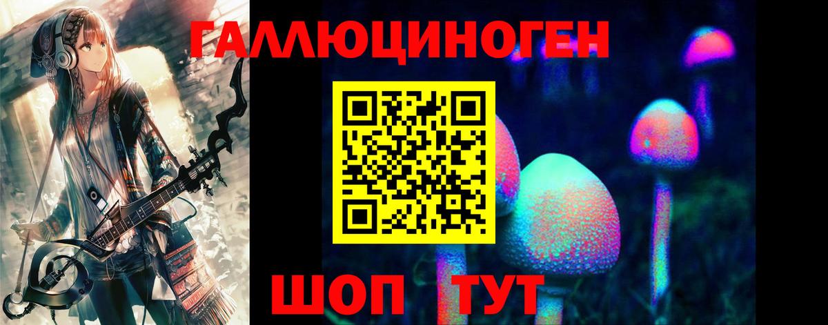 Пугачёв  Псилоцибиновые грибы прущие грибы  Псилоцибиновые грибы мухоморы  Вход с VPN 
